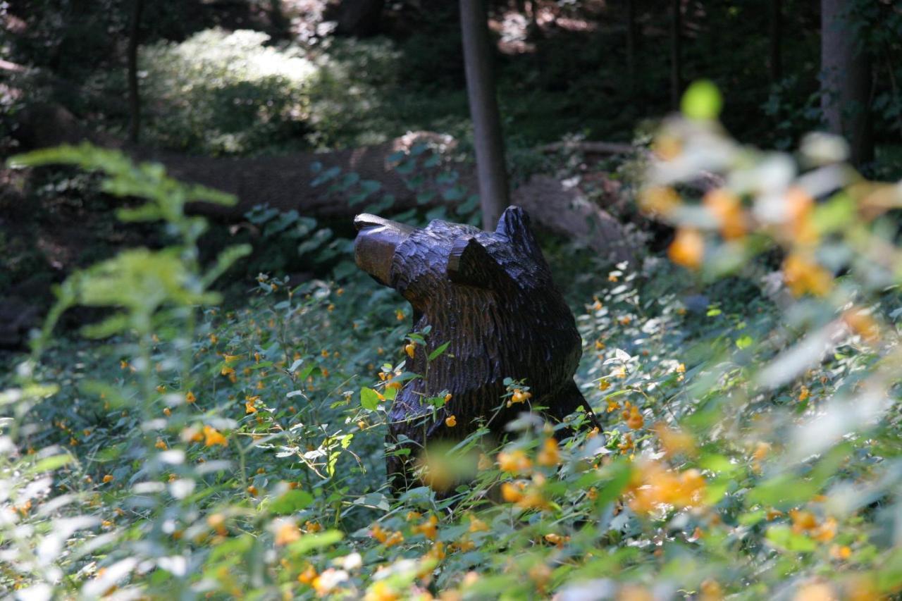Howarth House Bed And Breakfast Fitchburg Esterno foto